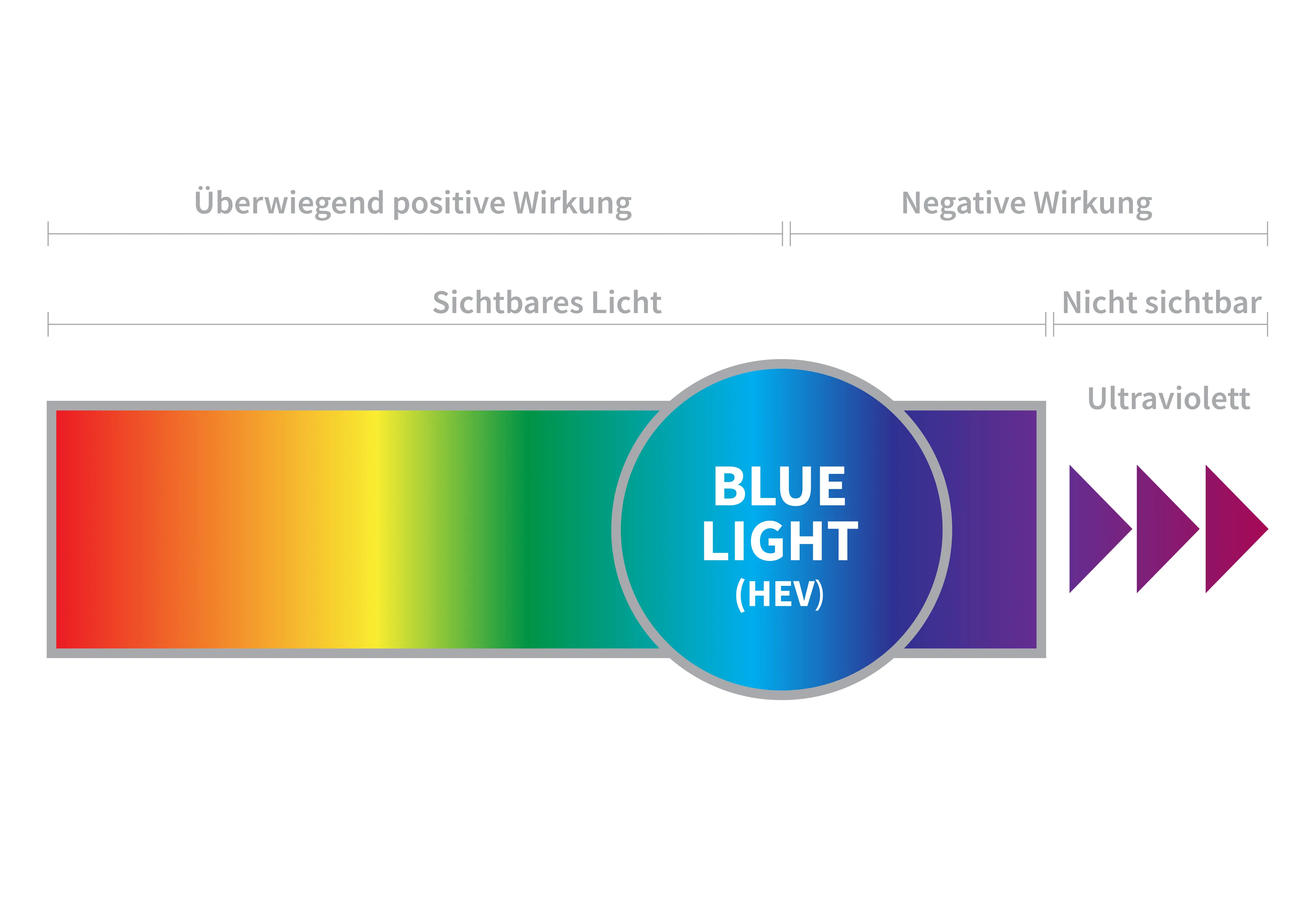 Diese Grafik zeigt das Spektrum des Lichts. Das blaue Licht, auch Blue Light oder HEV-Light genannt, gehört zum sichtbaren Lichtspektrum. Es hat sowohl positive, als auch negative Auswirkungen.