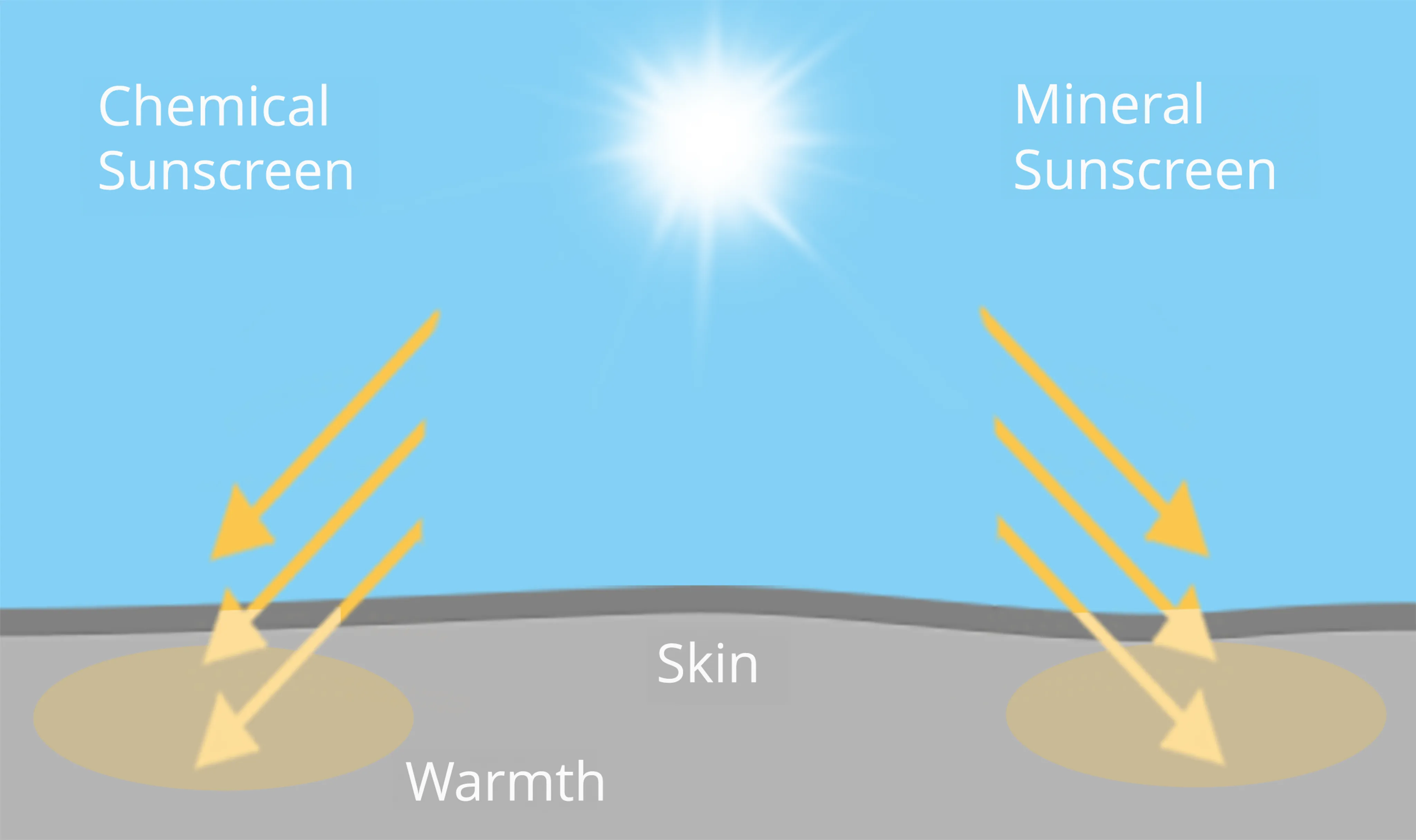 Illustration showing chemical and mineral sunscreens on the skin highlighting how each type protects against UV rays