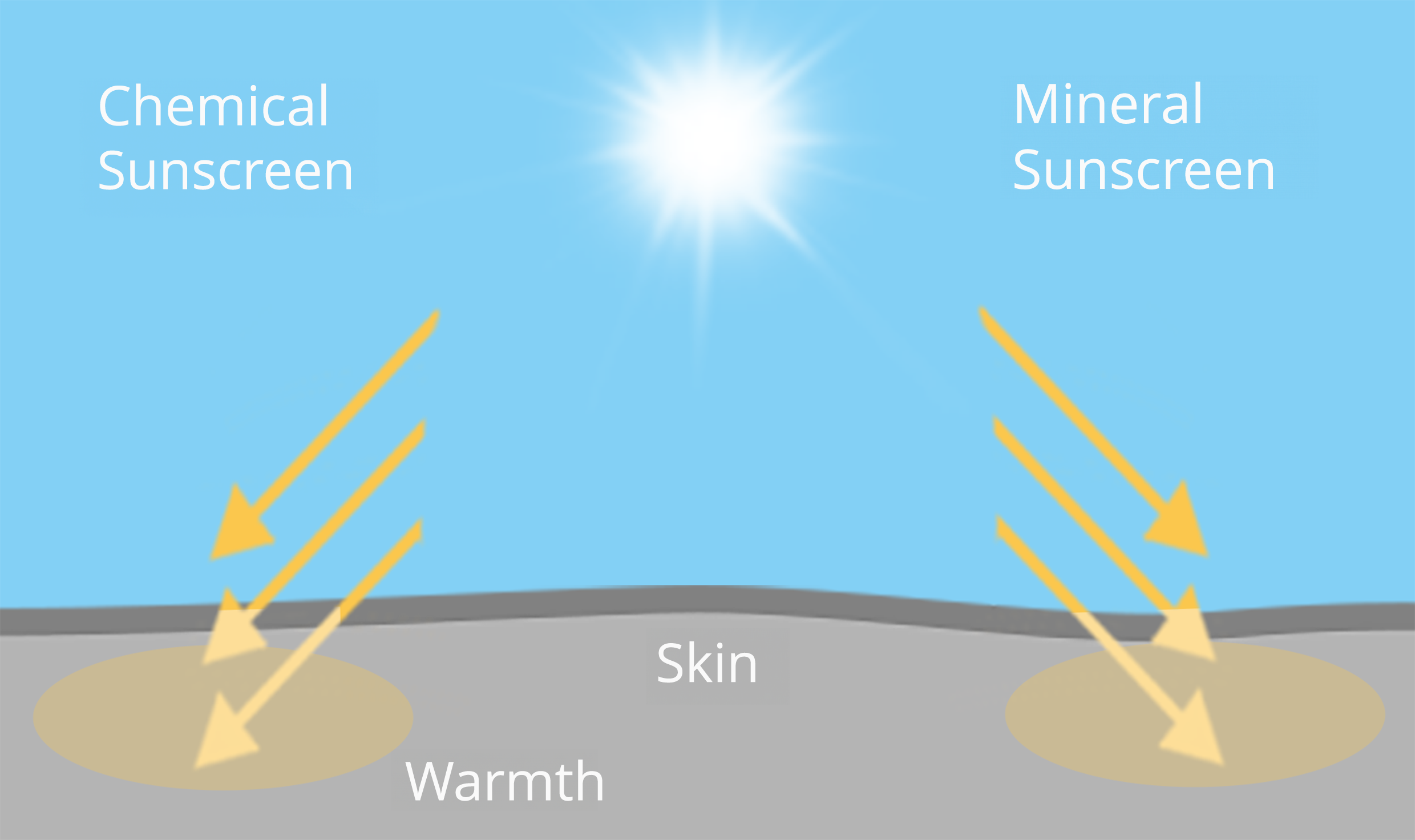Illustration showing chemical and mineral sunscreens on the skin highlighting how each type protects against UV rays