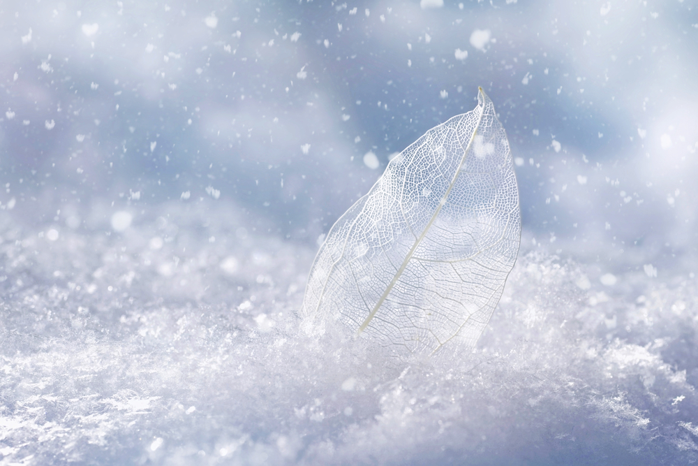 Hautpflege im Winter