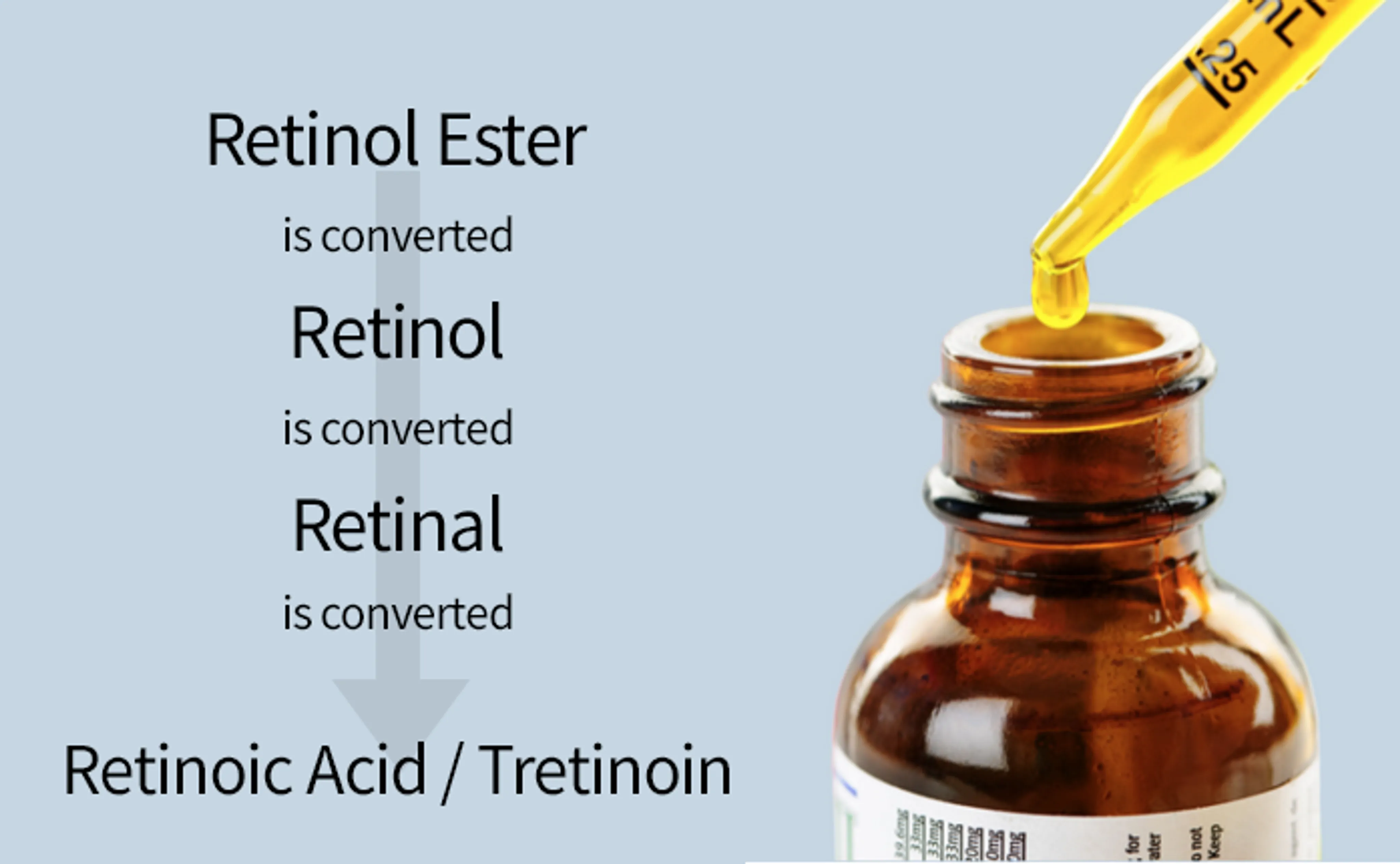 Types of retinol in our skin