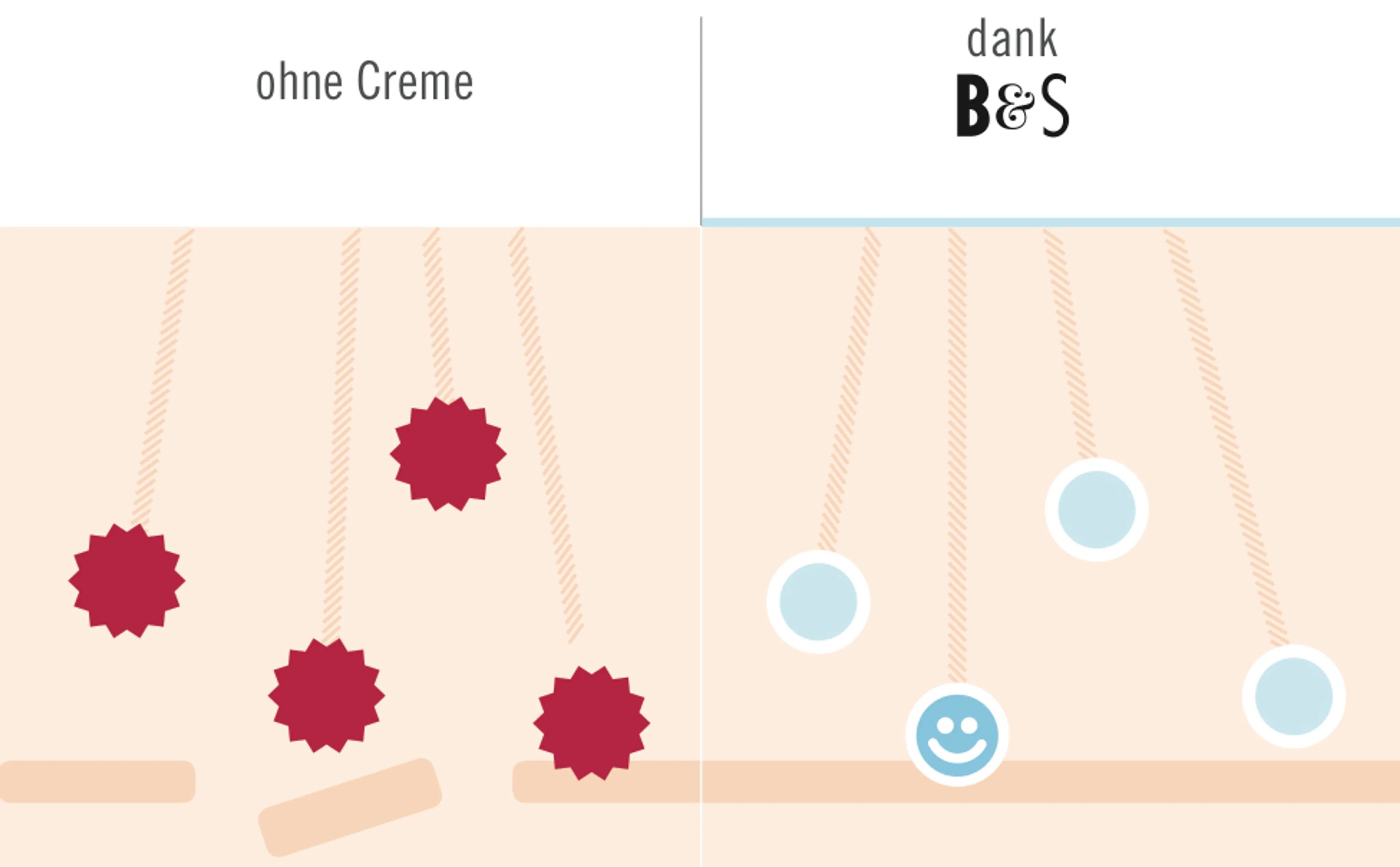 Illustrativer Vergleich des Hautzustands mit und ohne Creme. Ohne Creme ist die Haut oxidativem Stress ausgesetzt. Die Beyer & Söhne Hautcreme+ unterstützt die Haut mit Vitaminen beim natürlichen Stoffwechselprozess