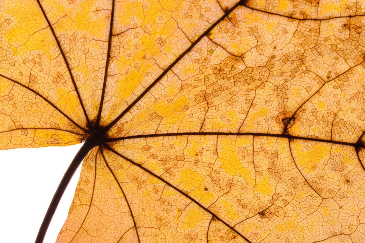 Herbstwetter und trockene Haut