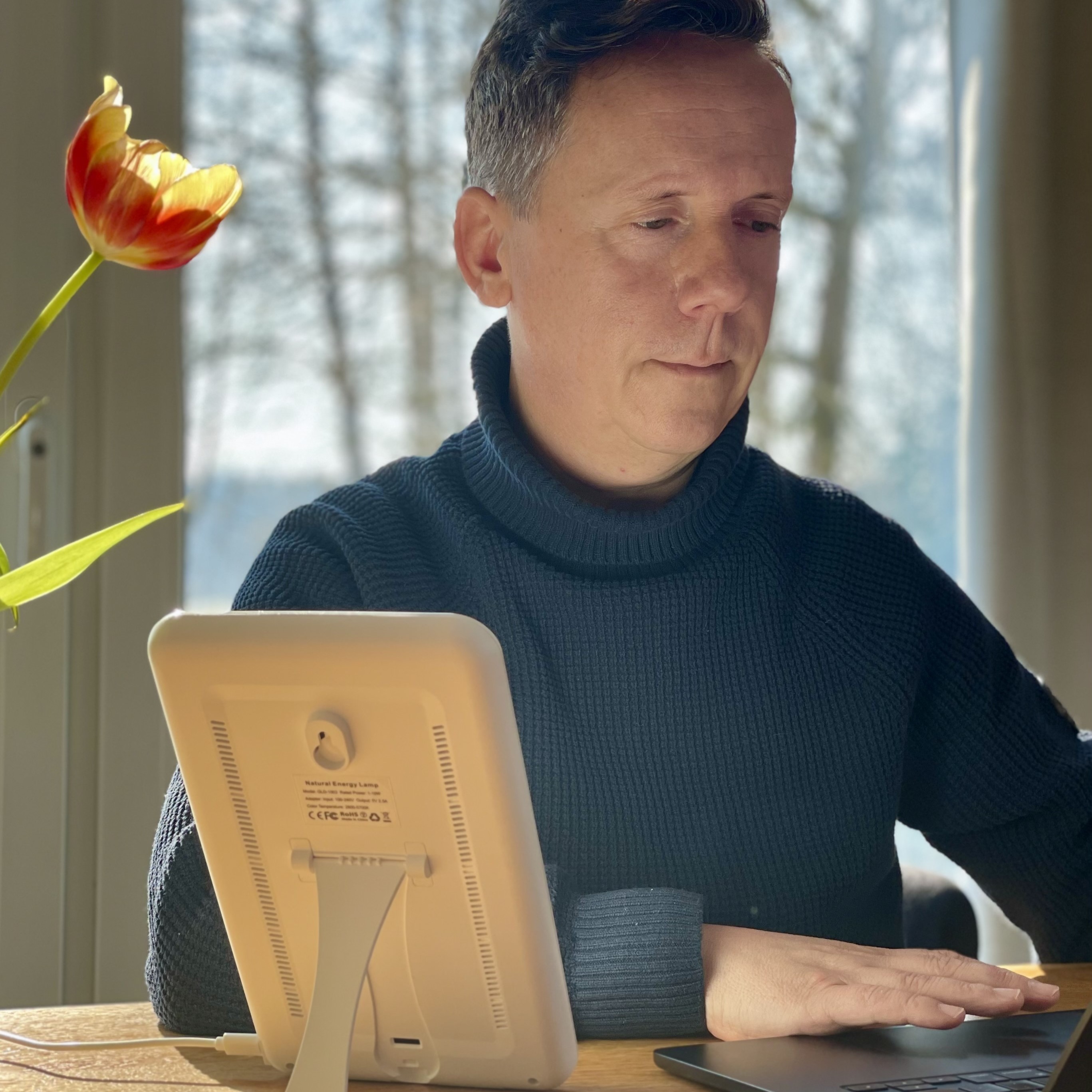 Mann in einem dunkelblauen Rollkragenpullover arbeitet konzentriert an einem Laptop, neben ihm steht eine Tageslichtlampe.