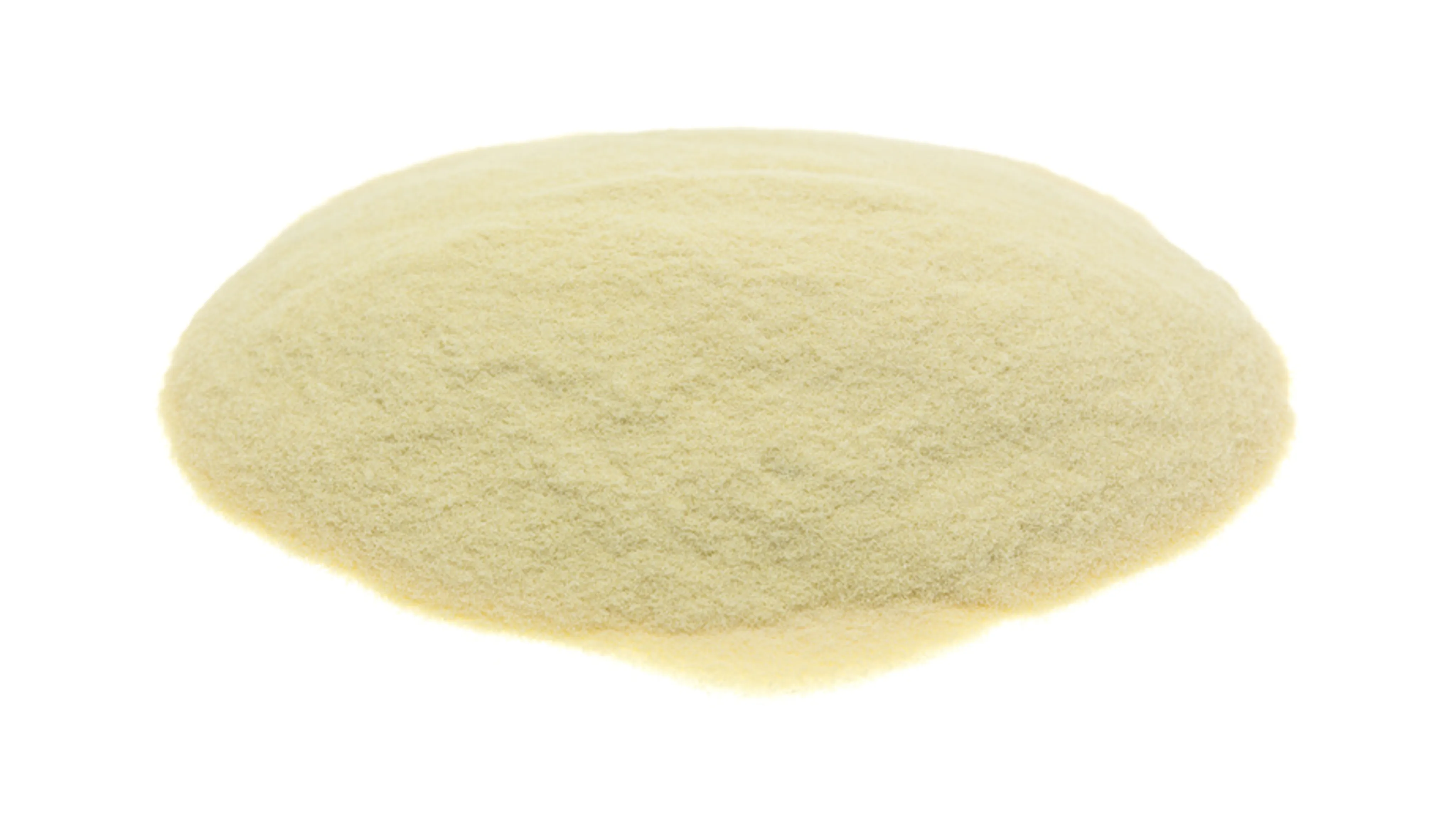 Xanthan Gum Pulver vor weißem Hintergrund