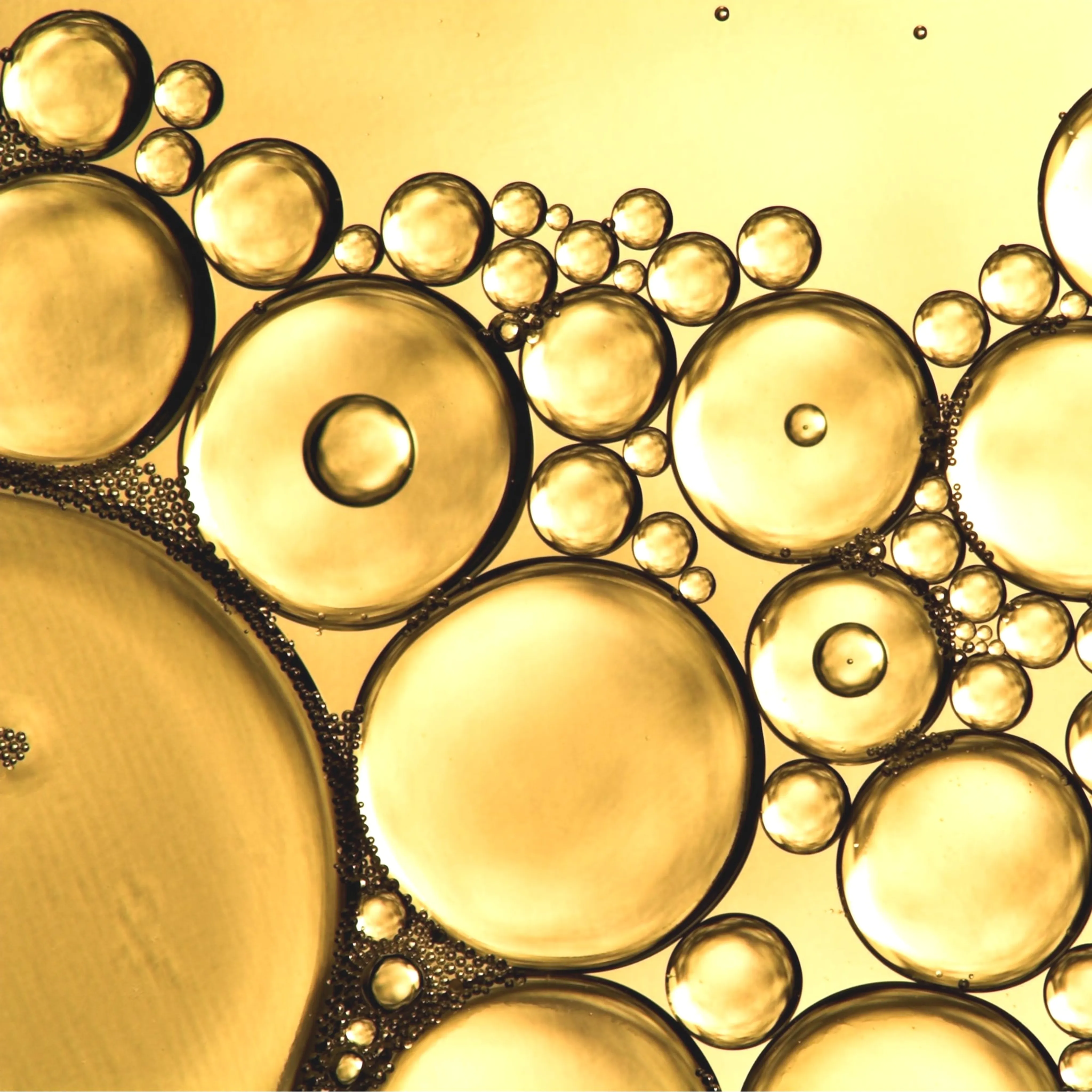 Cholesterol in Kosmetik