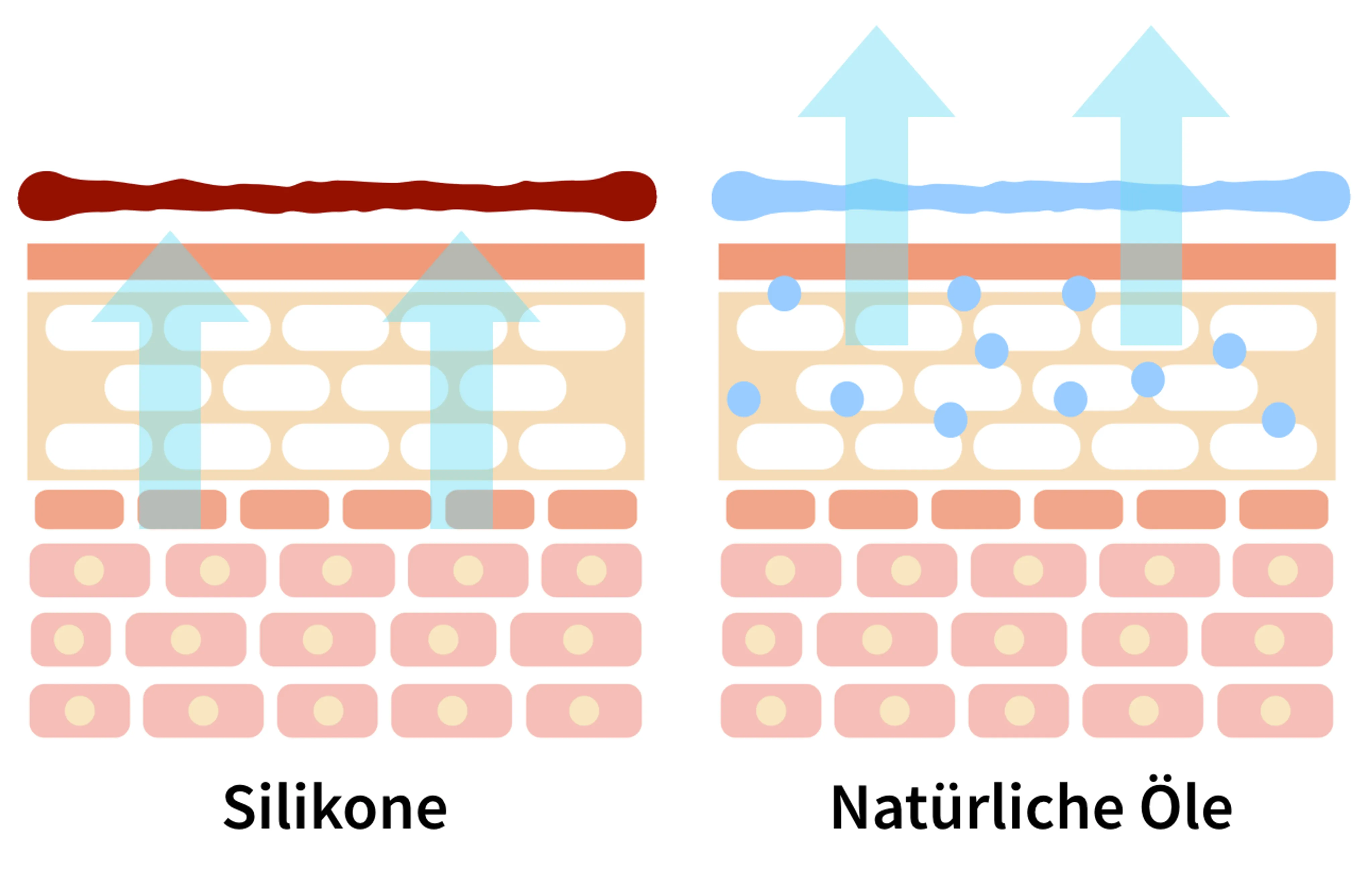 Creme ohne Silikone im Vergleich zu Creme mit Silikonen