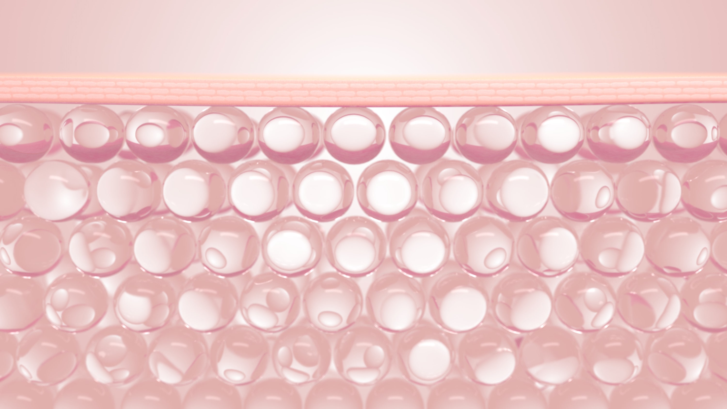 NMF, der Feuchthaltemechanismus der Haut kann Wasser in den Hornzellen binden