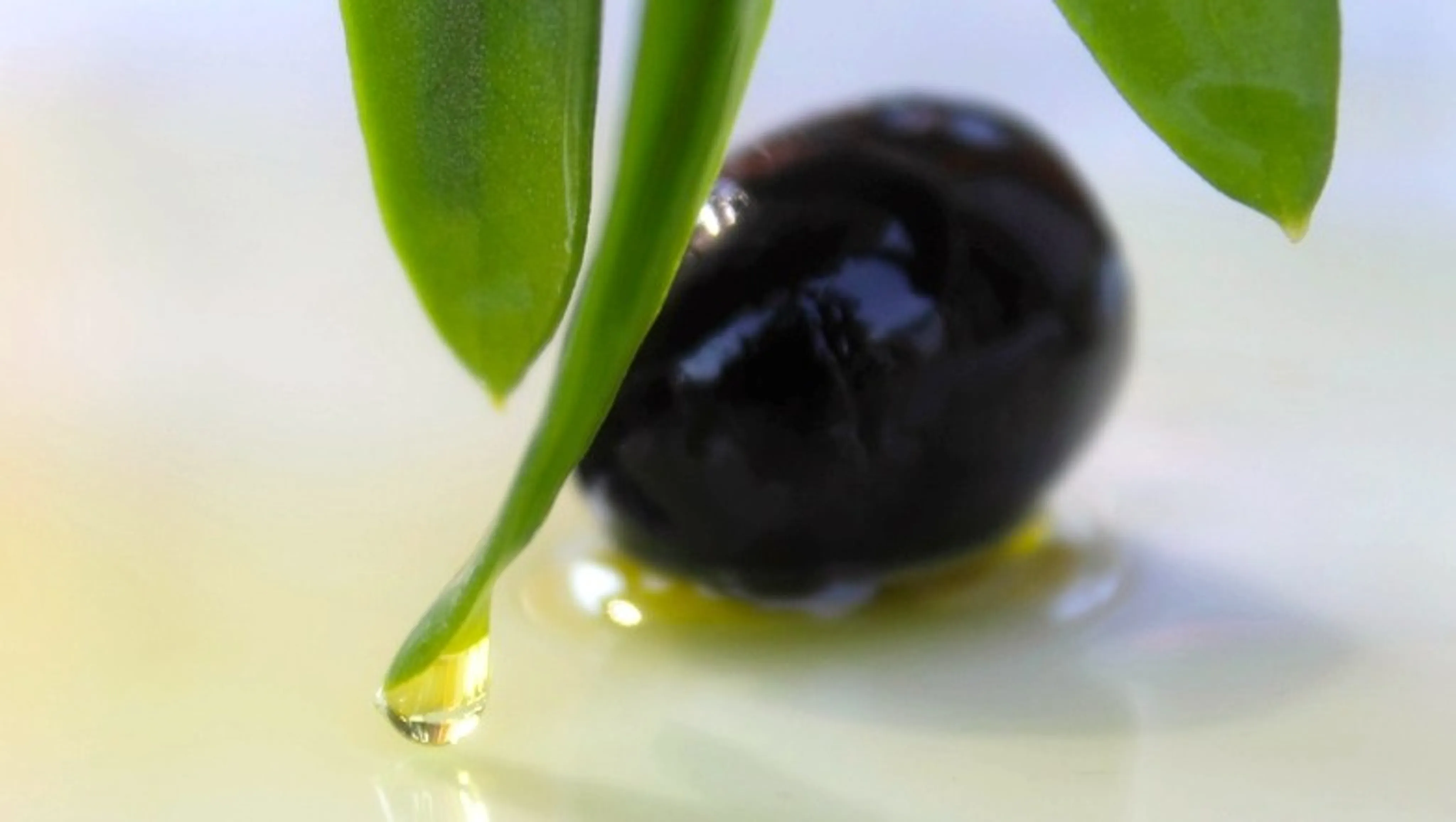 Olivenöl in Kosmetik