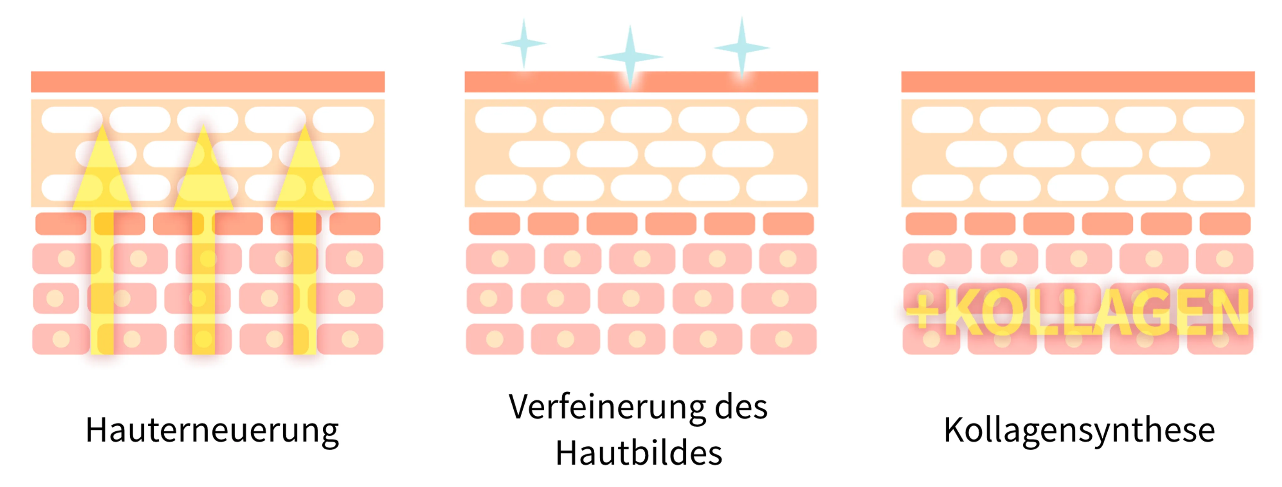 Wirkung von Retinol in der Haut und dem hauteigenen Kollagengerüst