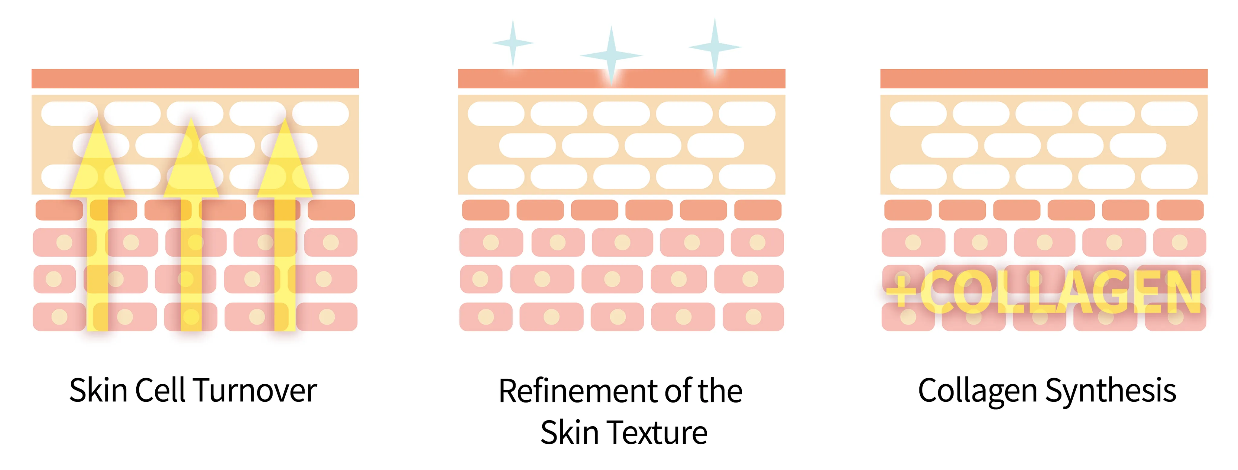 Effects of retinol in the skin