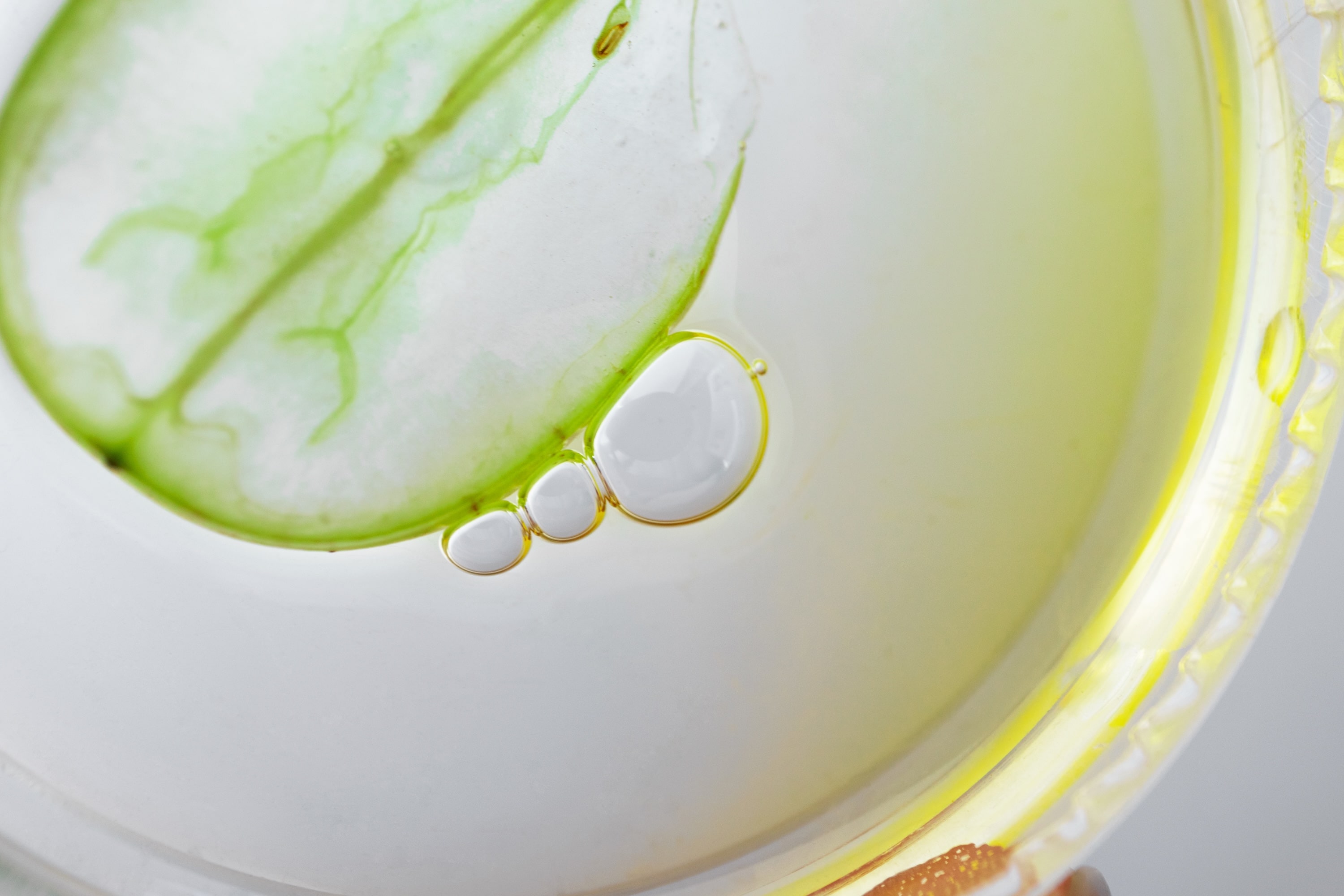 Makroaufnahme von Antioxidantien für die Hautpflege: grünes Pflanzenextrakt und Öltröpfchen im Wasser, Symbol für natürliche Wirkstoffe gegen oxidativen Stress.
