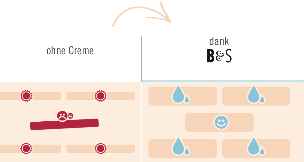 Illustrativer Vergleich des Hautzustands mit und ohne Creme. Ohne Creme zeigt Haut mit Irritationen, mit Beyer & Söhne Creme ist die Haut  hydratisiert und genährt.