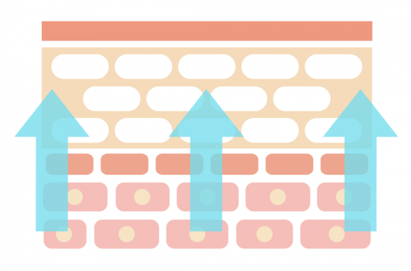 Ceramidsynthese in der Epidermis