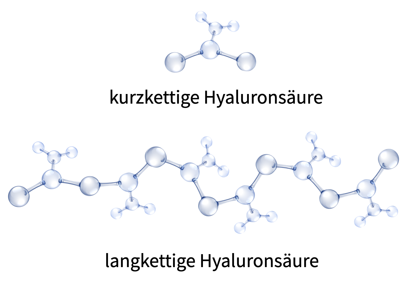 Kurzkettige und langkettige Hyaluronsäure