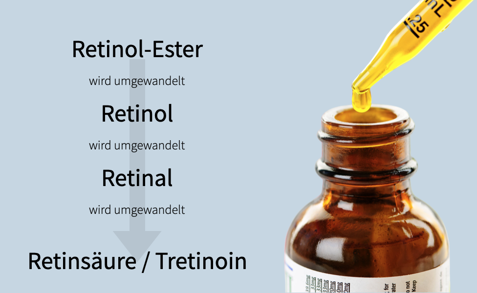 Umwandlung der verschiedenen Retinolformen in unserer Haut